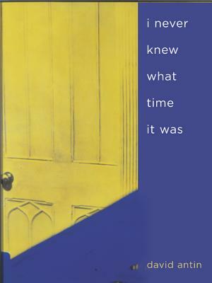 I Never Knew What Time It Was by David Antin