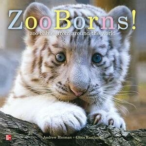 Reading Wonders Literature Big Book: Zoo Borns! Grade K by McGraw Hill