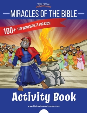 Miracles of the Bible Activity Book by Pip Reid