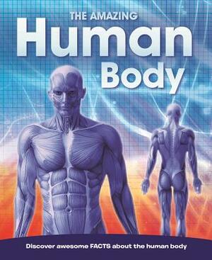 The Amazing Human Body by Igloo Books