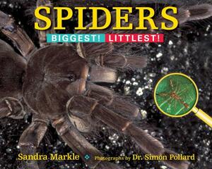 Spiders: Biggest! Littlest! by Sandra Markle