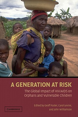 A Generation at Risk: The Global Impact of Hiv/AIDS on Orphans and Vulnerable Children by John Williamson
