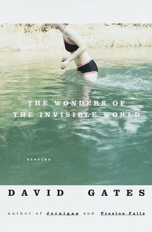 The Wonders of the Invisible World: Stories by David Gates