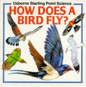 How Does a Bird Fly? by Susan Mayes, Kate Woodward