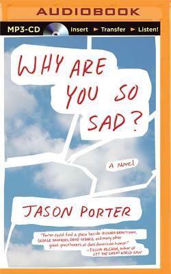 Why Are You So Sad? by Jason Porter