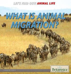 What Is Animal Migration? by Therese Shea