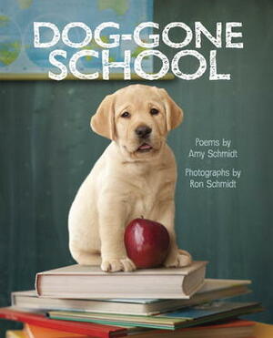 Dog-Gone School by Ron Schmidt, Amy Schmidt