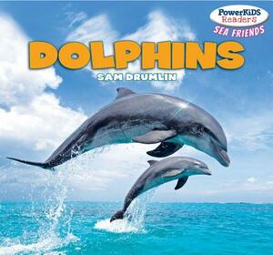 Dolphins by Sam Drumlin