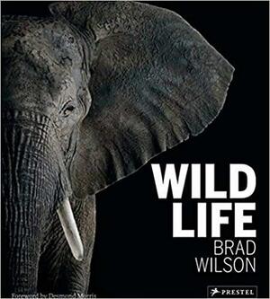 Wild Life by Brad Wilson, Desmond Morris