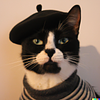 bella_01's profile picture