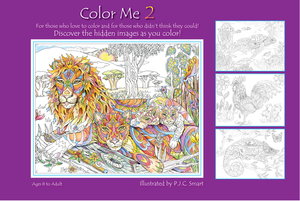 Color Me Your Way 2, Volume 2 by 