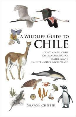 A Wildlife Guide to Chile: Continental Chile, Chilean Antarctica, Easter Island, Juan Fernandez Archipelago by Sharon Chester