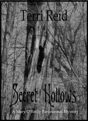 Secret Hollows by Terri Reid