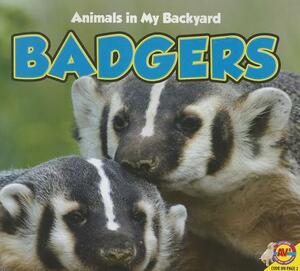 Badgers by Aaron Carr