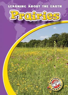 Prairies by Hollie J. Endres