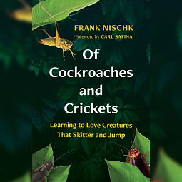 Of Cockroaches and Crickets by Frank Nischk