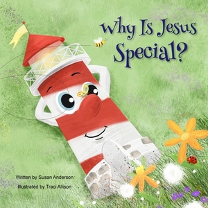 Why Is Jesus Special?: Ishnabobber Books by Susan Anderson