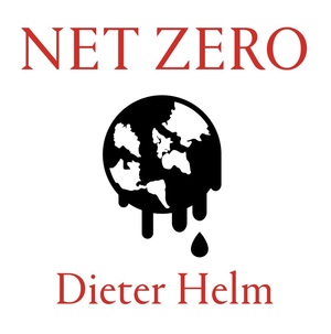 Net Zero: How We Stop Causing Climate Change by Dieter Helm