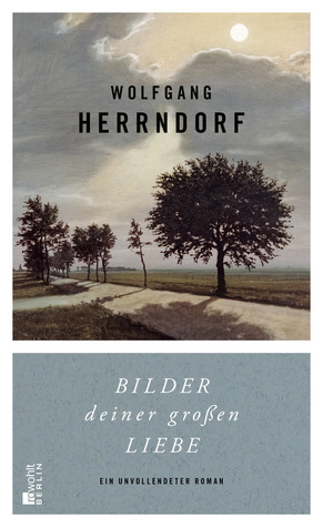 Bilder deiner großen Liebe by Wolfgang Herrndorf