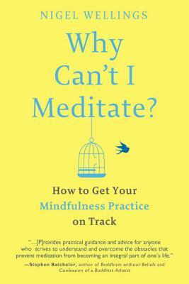 Why Can't I Meditate?: How to Get Your Mindfulness Practice on Track by Nigel Wellings