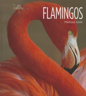 Flamingos by Melissa Gish