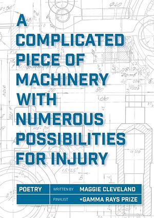 A Complicated Piece of Machinery With Numerous Possibilities for Injury by Maggie Cleveland