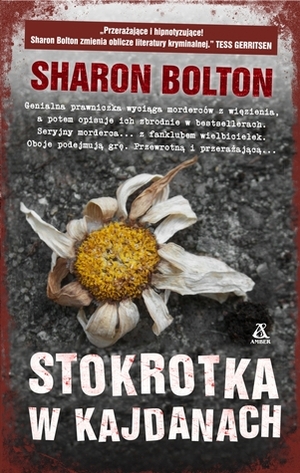 Stokrotka w kajdanach by Sharon Bolton