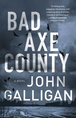 Bad Axe County, Volume 1 by John Galligan
