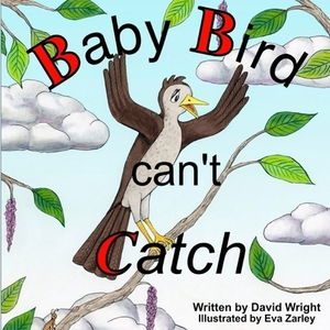 Baby Bird Can't Catch by David Wright