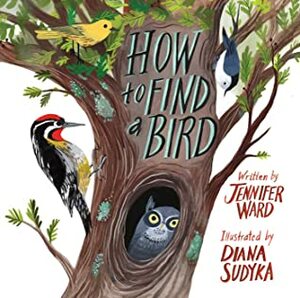 How to Find a Bird by Jennifer Ward, Diana Sudyka