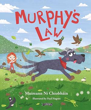 Murphy's Law by Muireann ní Chíobháin