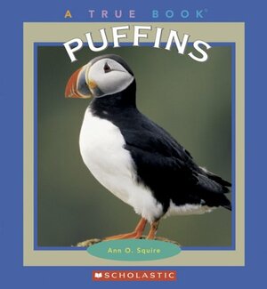 Puffins by Ann O. Squire