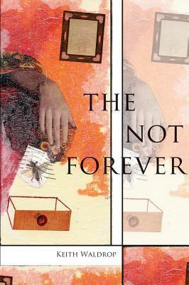 The Not Forever by Keith Waldrop
