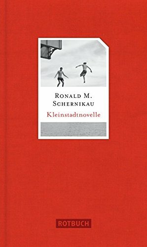 Kleinstadtnovelle by Ronald M. Schernikau