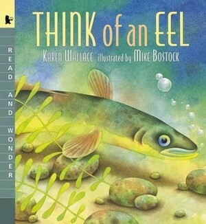 Think of an Eel by Karen Wallace, Mike Bostock