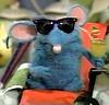 bluepoisonfrog's profile picture