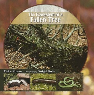 The Ecosystem of a Fallen Tree by Elaine Pascoe
