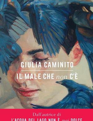 Il male che non c'è  by Giulia Caminito