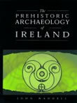 The Prehistoric Archaeology Of Ireland by John Waddell