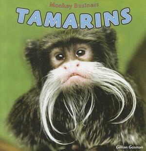 Tamarins by Gillian Gosman