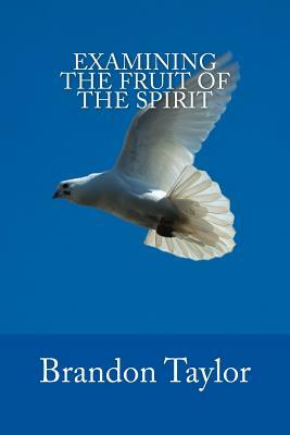 Examining The Fruit Of The Spirit by Brandon Taylor