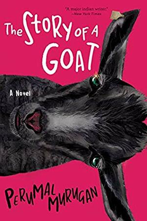 Poonachi: or the Story of a Black Goat by Perumal Murugan