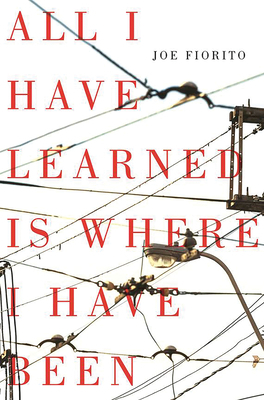 All I Have Learned Is Where I Have Been by Joe Fiorito