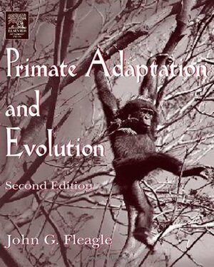 Primate Adaptation and Evolution by Christopher Gilbert, John G. Fleagle, Andrea Baden
