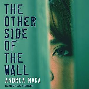 The Other Side Of The Wall by Andrea Mara