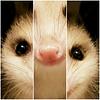itskpidge's profile picture
