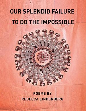 Our Splendid Failure to Do the Impossible by Rebecca Lindenberg