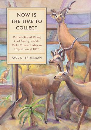 Now Is the Time to Collect: Daniel Giraud Elliot, Carl Akeley, and the Field Museum African Expedition of 1896 by Paul D. Brinkman