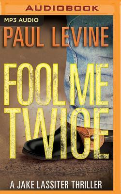 Fool Me Twice by Paul Levine
