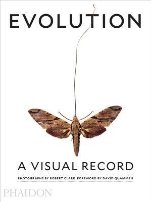 Evolution: A Visual Record by Robert Clark